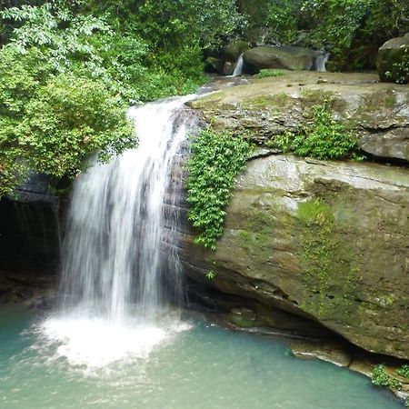 Buderim Forest Hideaway Zewnętrze zdjęcie