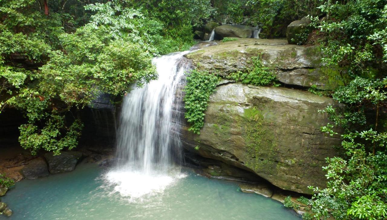 Buderim Forest Hideaway Zewnętrze zdjęcie